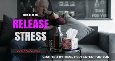 Alcohol and Stress Relief: Unraveling the Myth and Reality