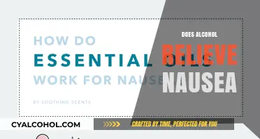 Alcohol and Nausea: Does Drinking Help or Worsen Symptoms?