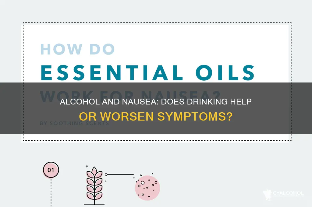 does alcohol relieve nausea