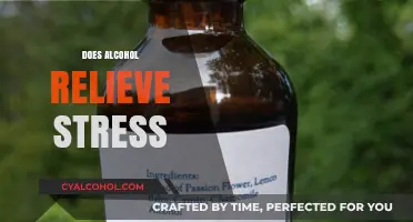 Alcohol and Stress: Does Drinking Really Help You Relax?
