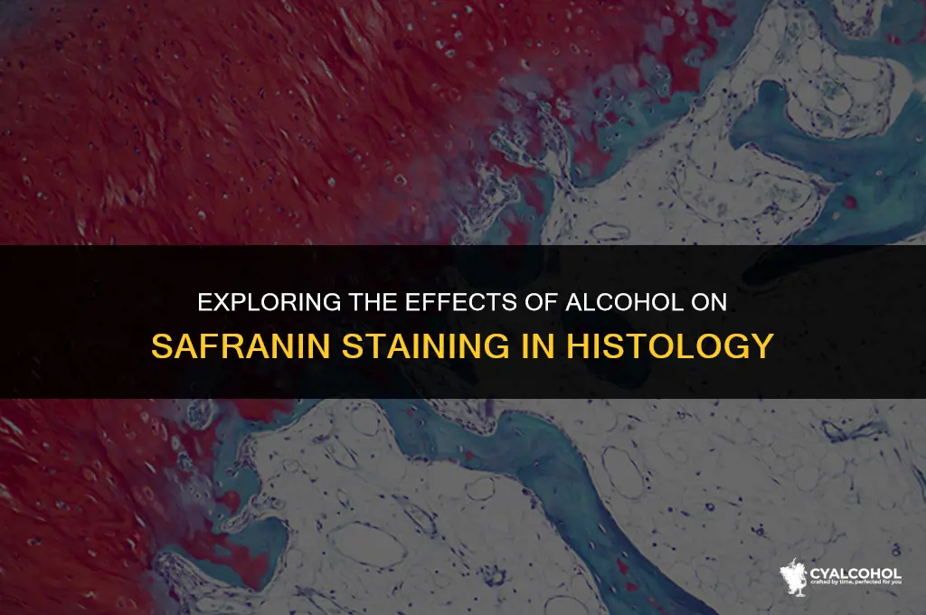 does alcohol remove alcoholic safranin