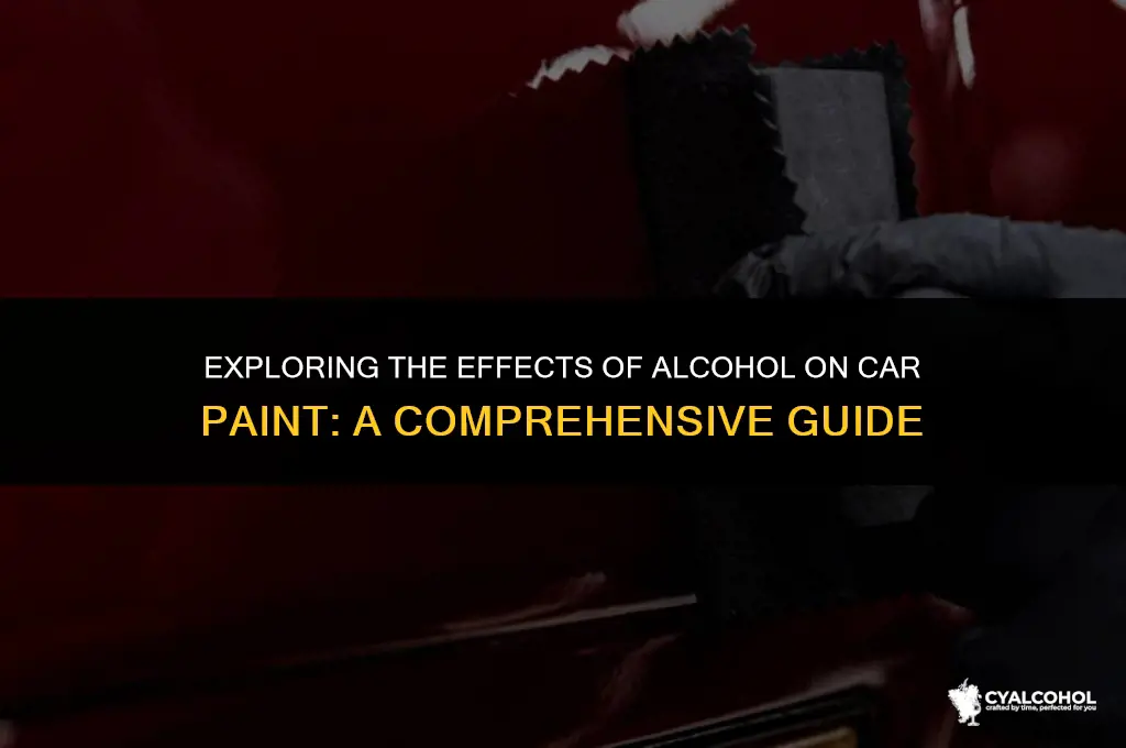 does alcohol remove car paint
