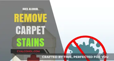 Spilled and Stained: Can Alcohol Rescue Your Carpet?