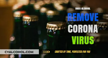 Debunking Myths: Alcohol's Role in Combating Coronavirus
