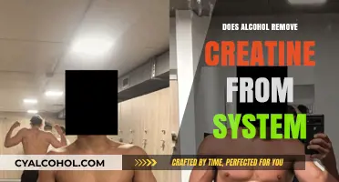 Alcohol and Creatine: Does Drinking Flush It from Your System?