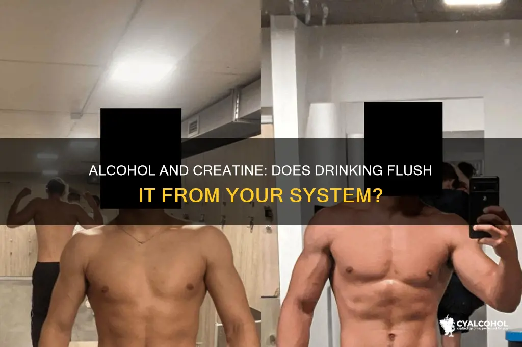 does alcohol remove creatine from system