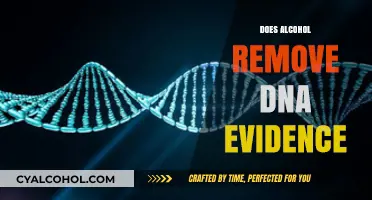 Unraveling the Truth: Alcohol's Impact on DNA Evidence in Investigations