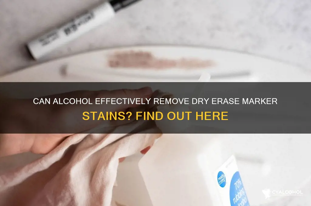 does alcohol remove dry erase marker