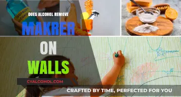 Can Alcohol Erase Marker Stains from Walls? Quick DIY Solution