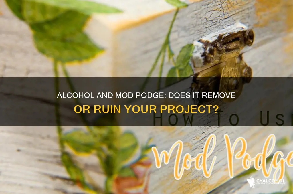 does alcohol remove modpodge