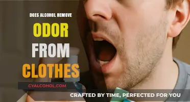 Can Alcohol Effectively Eliminate Odors from Your Clothes? Find Out