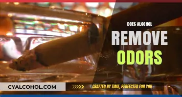 Can Alcohol Eliminate Odors? Surprising Facts and Effective Uses