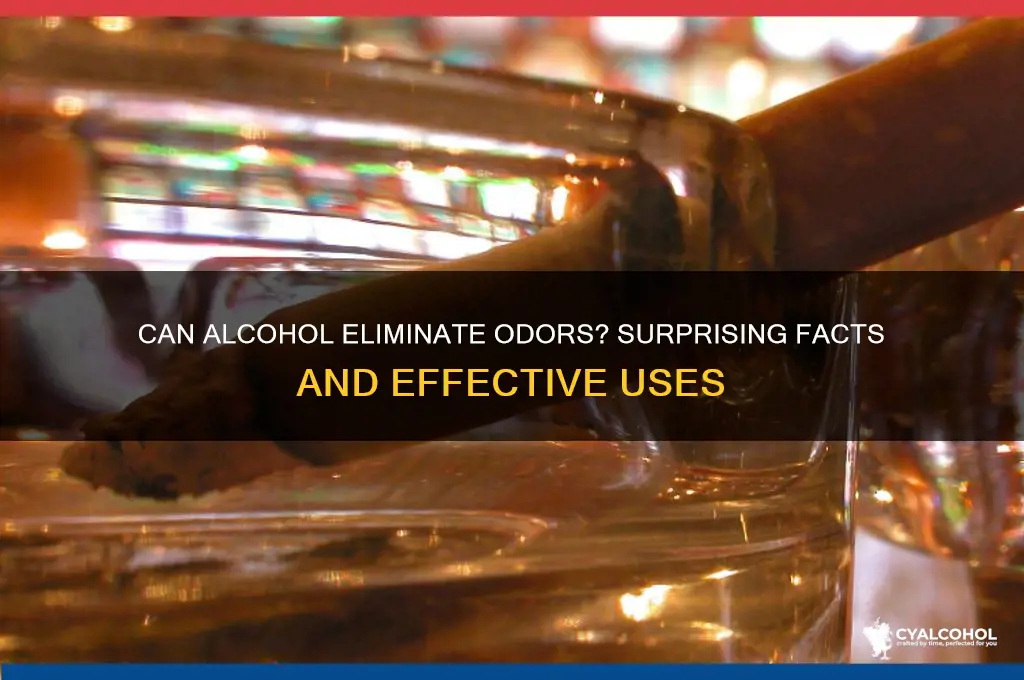 does alcohol remove odors