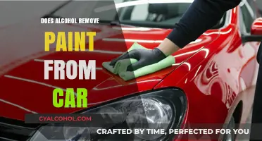 Can Alcohol Safely Remove Paint from Your Car? Find Out Here