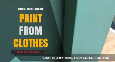 Can Alcohol Effectively Remove Paint Stains from Your Clothes?
