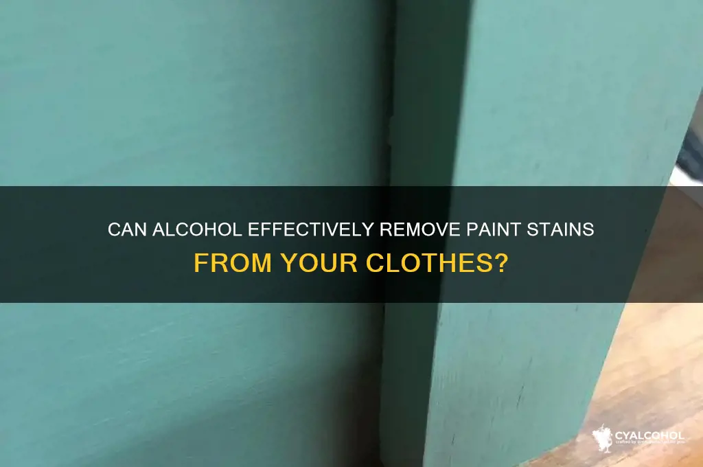 does alcohol remove paint from clothes