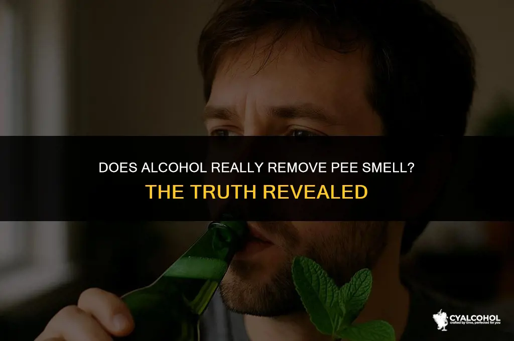 does alcohol remove pee smell