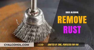 Can Alcohol Effectively Remove Rust? Surprising Cleaning Hacks Revealed