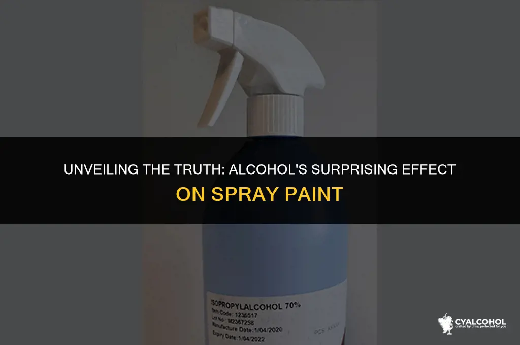 does alcohol remove spray paint