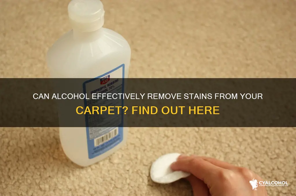 does alcohol remove stains from carpet