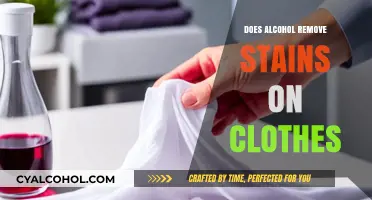 Alcohol as a Stain Remover: Fact or Fiction for Your Clothes?