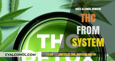 Does Alcohol Flush THC? Debunking Myths and Facts About Detox