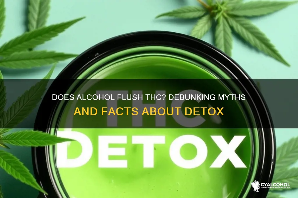 does alcohol remove thc from system