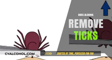 Alcohol and Tick Removal: Fact or Fiction? What You Need to Know