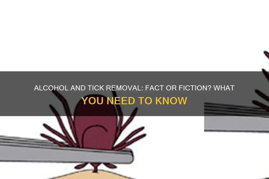 does alcohol remove ticks