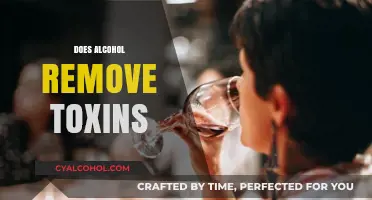 Alcohol and Detox: Fact or Fiction? Uncovering the Truth