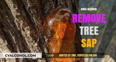 Nature's Sticky Situation: Does Alcohol Remove Tree Sap?