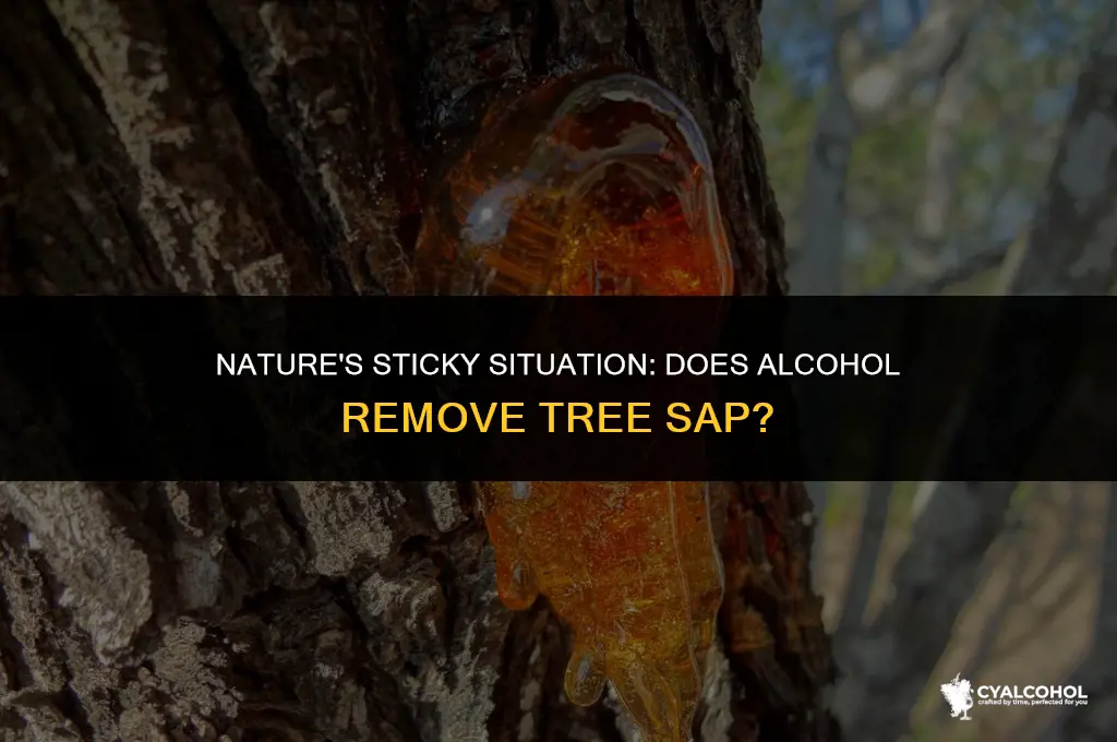 does alcohol remove tree sap