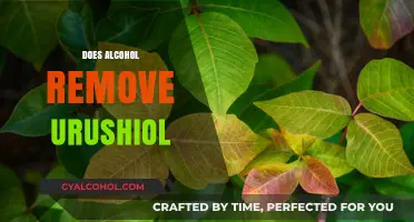 Alcohol and Urushiol: Does It Remove the Rash-Causing Oil?
