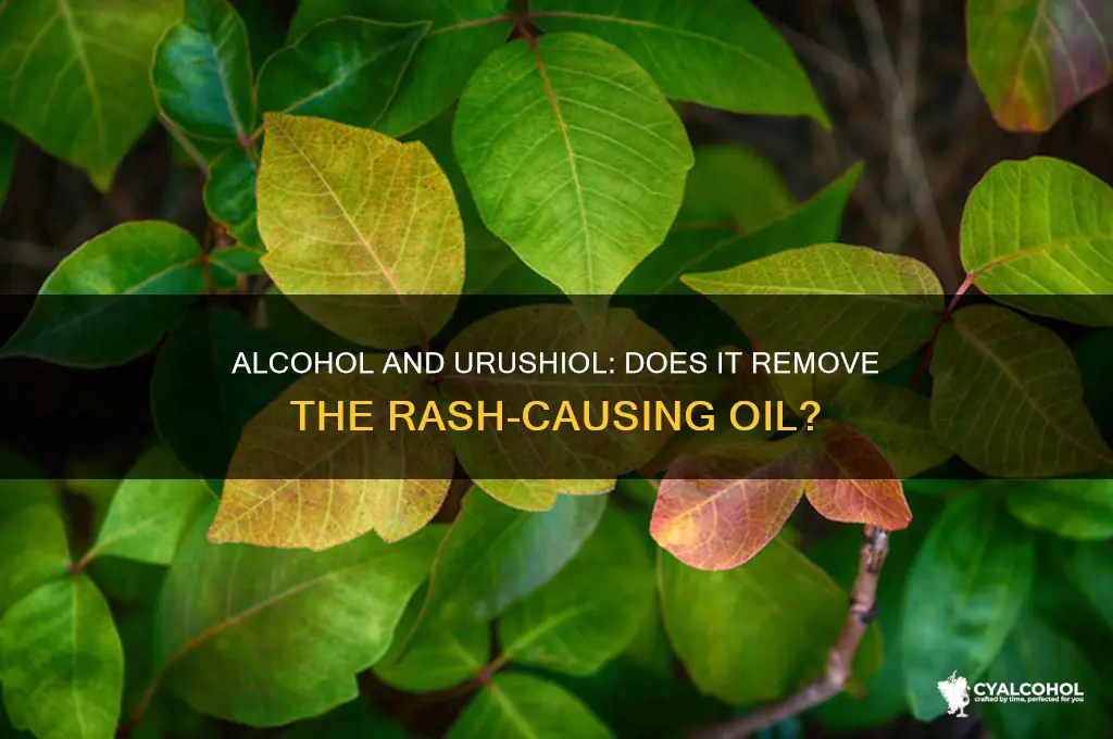 does alcohol remove urushiol