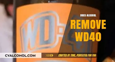 Alcohol vs. WD-40: Which Solvent Works Best for Cleaning?