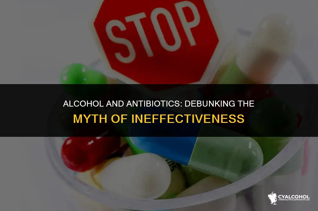 does alcohol render antibiotics ineffective