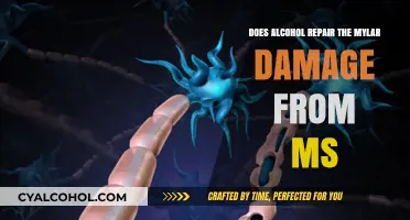 Alcohol and Myelin Repair: Unraveling MS Mylar Damage Myths
