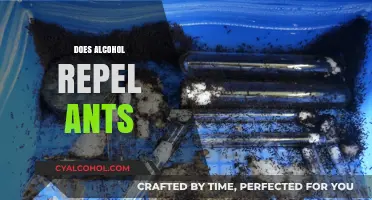 Can Alcohol Keep Ants Away? Exploring Its Repellent Properties