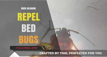 Alcohol and Bed Bugs: Does It Repel or Attract Them?