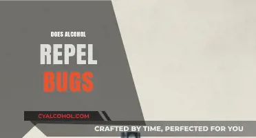 Alcohol as Bug Repellent: Fact or Fiction? Exploring Its Effectiveness