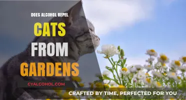 Alcohol as a Cat Repellent: Effective Garden Solution or Myth?