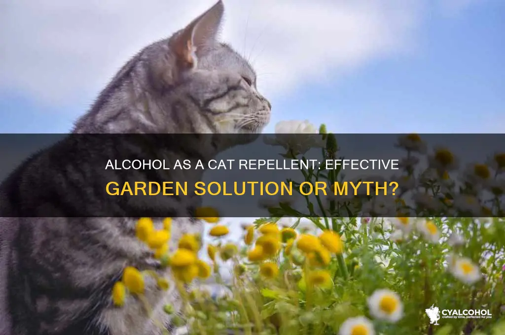 does alcohol repel cats from gardens