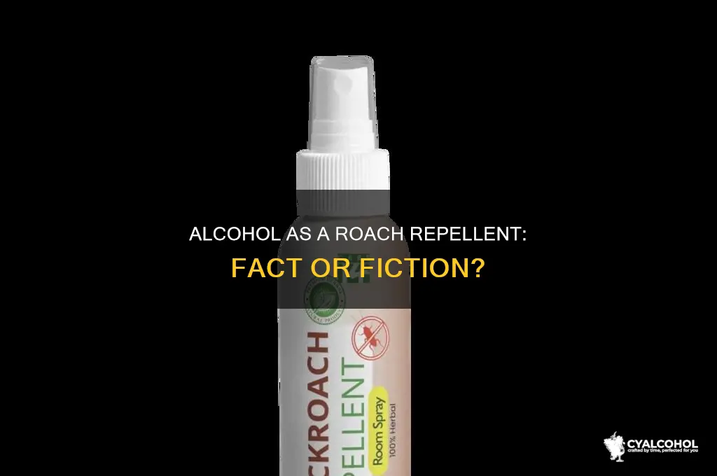 does alcohol repel cockroaches