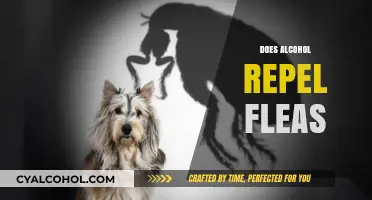 Can Alcohol Repel Fleas? Uncovering the Truth and Best Practices