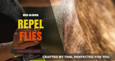 Alcohol as a Fly Repellent: Myth or Effective Solution?
