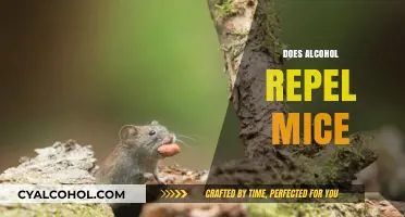 Can Alcohol Keep Mice Away? Exploring the Myth and Facts