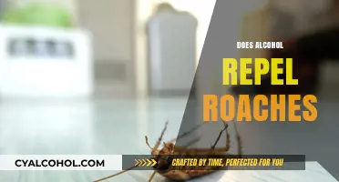 Alcohol as Roach Repellent: Myth or Effective Pest Control Solution?