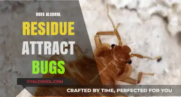 Unwanted Guests: How Alcohol Residue Attracts Bugs to Your Home