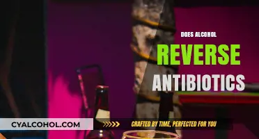 Alcohol and Antibiotics: Can Drinking Reverse Medication Effects?