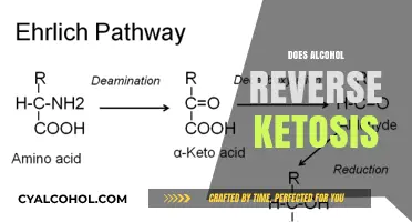 Alcohol and Ketosis: Does Drinking Reverse Your Fat-Burning State?